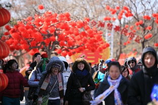 北京过年去哪玩最合适
