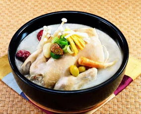 怎样炖鸡汤