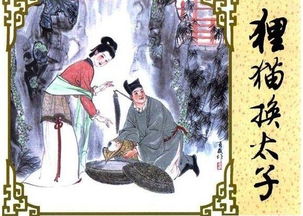 包青天狸猫换太子的故事