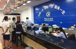 城居保是什么意思