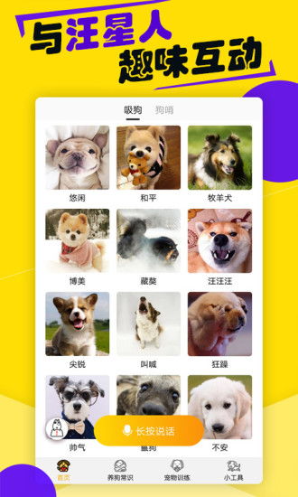 狗语翻译机真的很科学吗?
