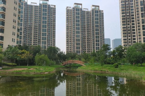 巽寮湾富力湾楼盘怎么样