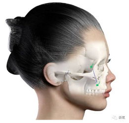 络腮胡是什么样子