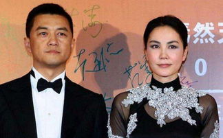 资深财经记者曝王菲李亚鹏离婚原因:两人三观不同,女方先提离婚,咋回