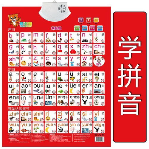 声母韵母整体认读音节和字母表