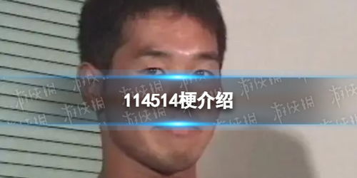 114514什么梗