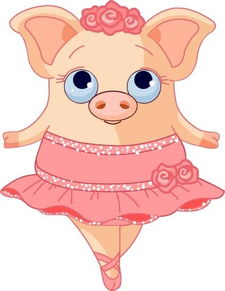 属猪的今年多少岁了2023年