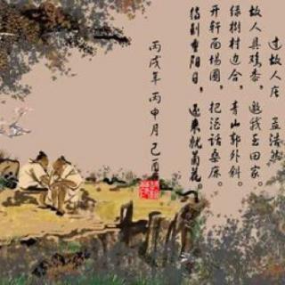 过故人庄古诗的全文