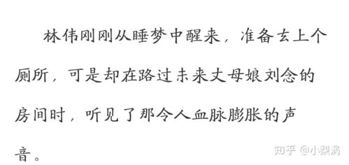 林伟刘念小说叫什么名