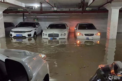 泡水车为什么不能要
