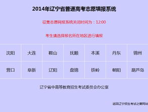 征集志愿如何填报