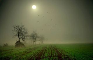 “缄默”是什么意思?怎么读?