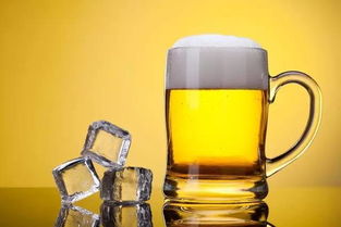 beer是什么意思