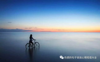 不顾一切的意思是什么