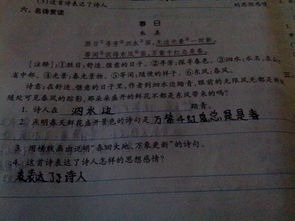 卡农表达了什么感情?