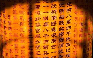 佛教经典佛经都有哪些,主要的佛经有哪些