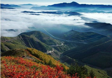 六盘山在哪里