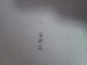 驯服的读音是什么