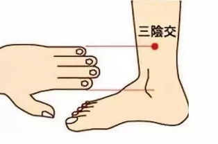 如何准确找到三阴交