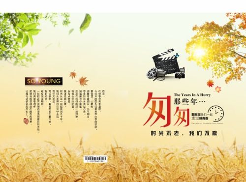 人人都应该保护环境的文案