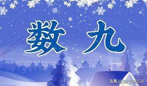 数九天从什么时候开始数?