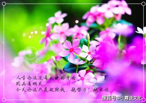 浮躁的心需要沉淀的句子