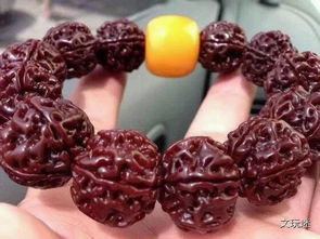 金刚菩提的寓意与作用