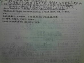 以路为话题作文