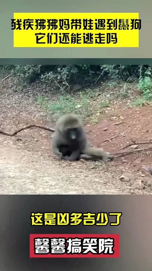 凶多吉少的意思