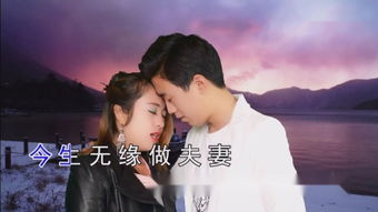 你爱我我爱你,总有一天在一起是什么歌
