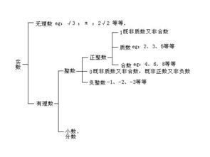 整数包含负数和零吗?