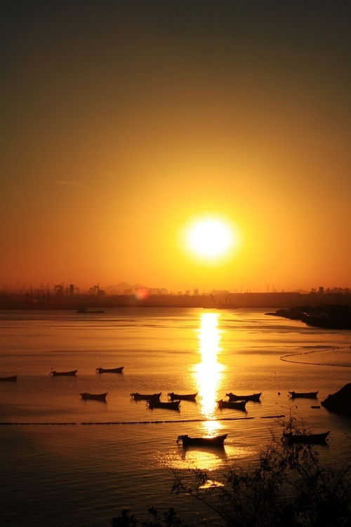 夕阳西下的意思