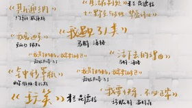 简短优美的句子摘抄