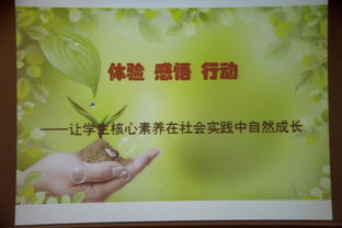 社会实践活动的收获与感悟怎么写?