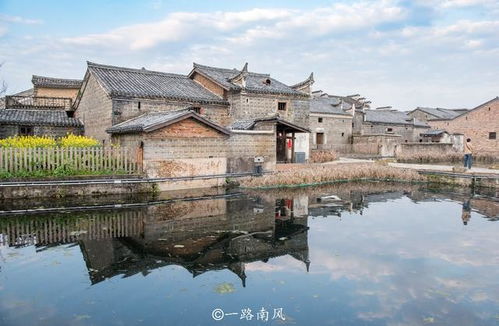 陂怎么读?