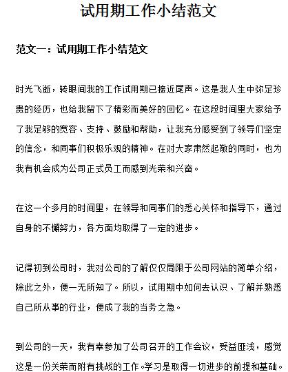试用期工作总结
