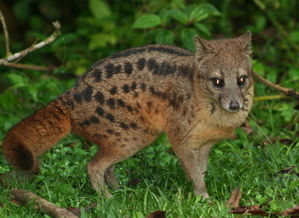 众好必察,是解什么意思?