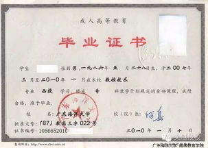 大专和本科是什么意思