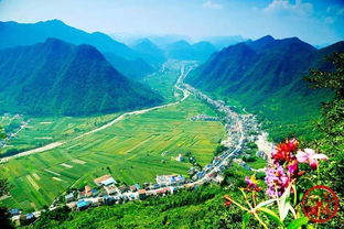 河北省保康县属于哪个市