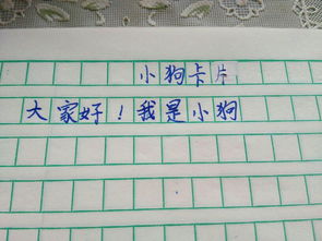 小狗的作文300字