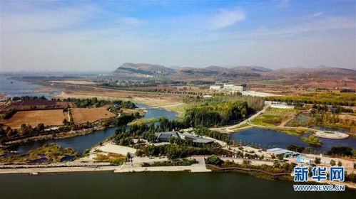 东平县属于哪个市