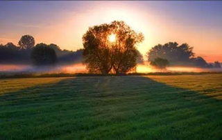 这也是一切的赏析