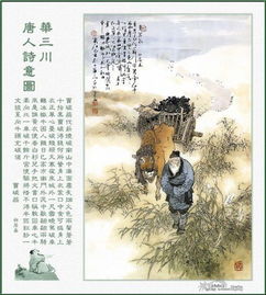 卖炭翁原文及翻译