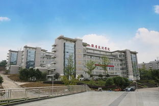 眉山职业技术学院单招录取分数线