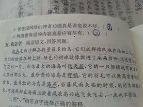特别造句二年级简单短句