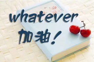 双少生考研政策条件