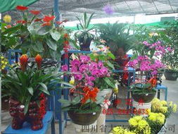 二手ipad屏幕使用时间上锁