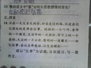 寻找一盏灯作文600字