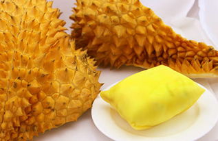 塞尔达直接吃生命榴莲会怎么样