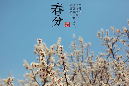 描写春分的诗句